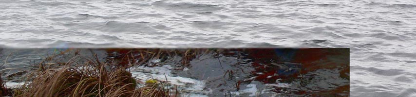 example1_bearbeitet-1 Kopie_bearbeitet-1.jpg
