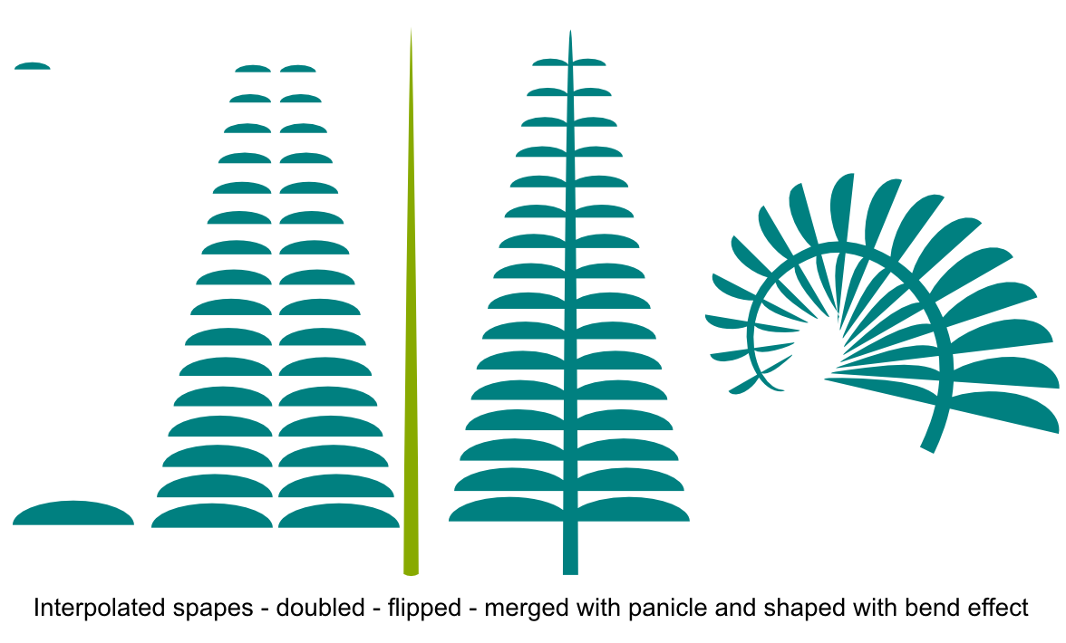 fern.png