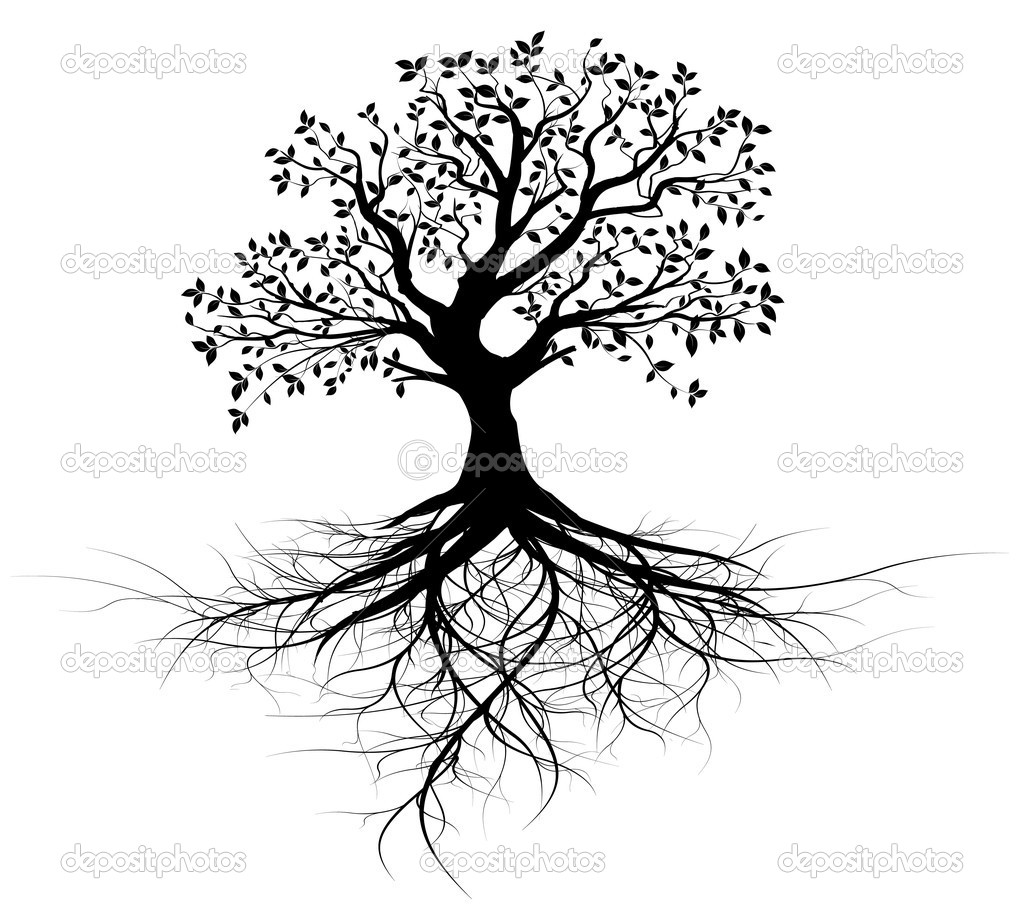 Tree With Roots On White Background. Sketch Royalty Free SVG, Cliparts,  Vectors, and Stock Illustration. Image 24028361.