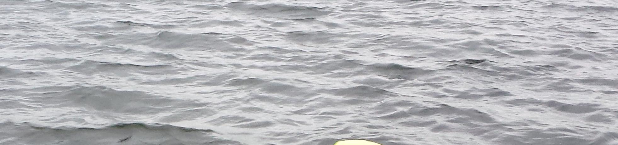 example1.jpg