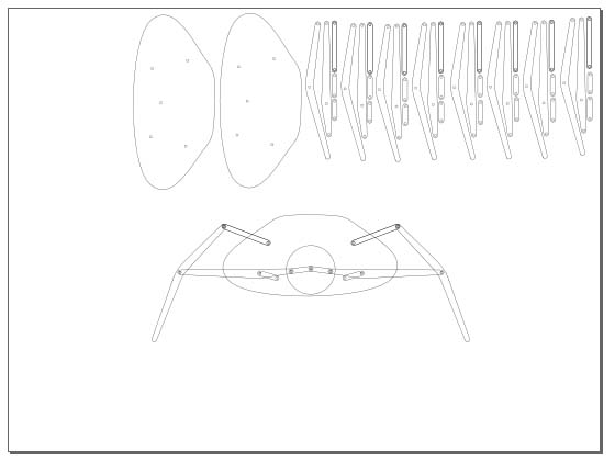 spider.jpg